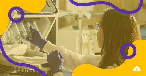 best senior high school in the philippines for stem|Careers You Can Pursue If You Took STEM Strand In Senior .